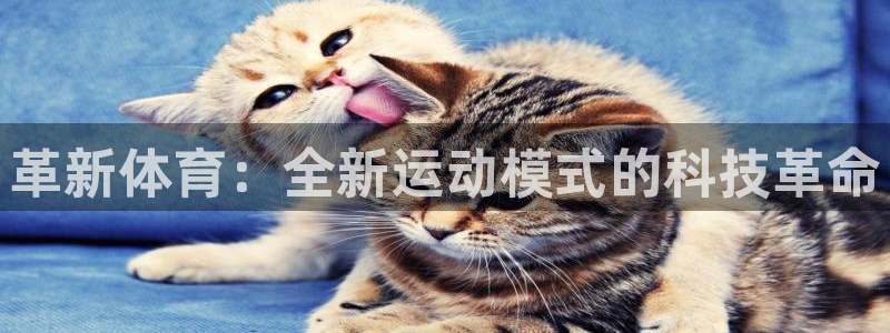 Betway首页