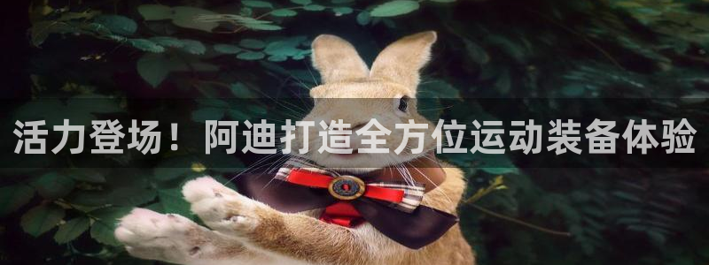 betway西汉姆官网：活力登场！阿迪打造全方位运动装备体验