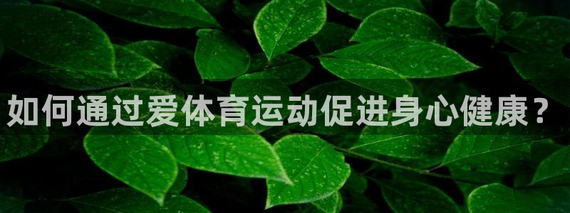 betwaybetmalawa：如何通过爱体育运动促进身心健康？